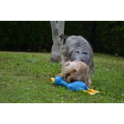 Lazy Duck
