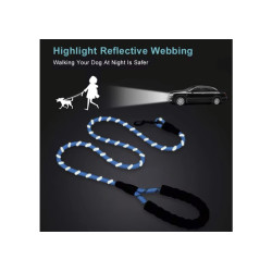 Premium training leash