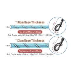 Premium training leash
