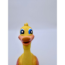 Squeaky duck