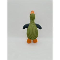 Wild Goose