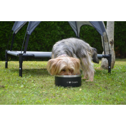 Elegant Stainless Steel Bowl