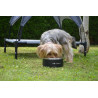 Elegant Stainless Steel Bowl