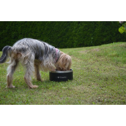 Elegant Stainless Steel Bowl