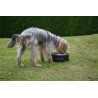 Elegant Stainless Steel Bowl