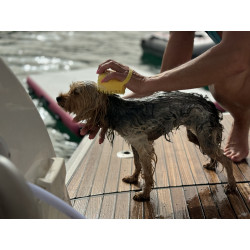 Badebürste mit Shampoospender