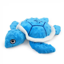 Sea Turtle
