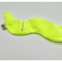 Glowing Eel