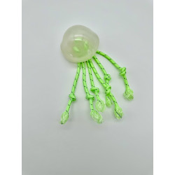 Glowing Jellyfish