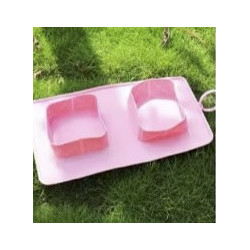 Food and water bowl for on the go