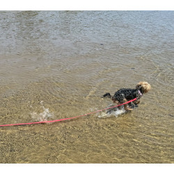 Water-repellent tow line