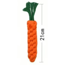 Carrot