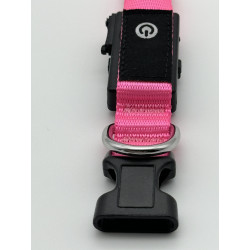 Exclusive LED light collar for dogs