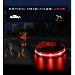Exclusive LED light collar for dogs