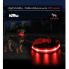 Exclusive LED light collar for dogs