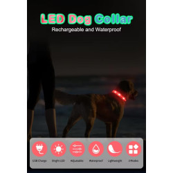 Exclusive LED light collar for dogs