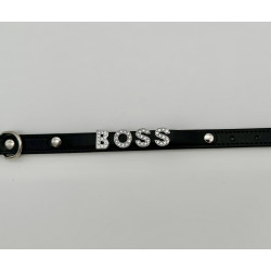 Exclusive dog collar