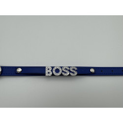 Exclusive dog collar