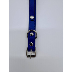 Exclusive dog collar