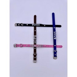 Exclusive dog collar