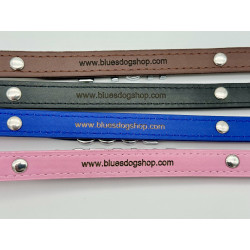 Exclusive dog collar