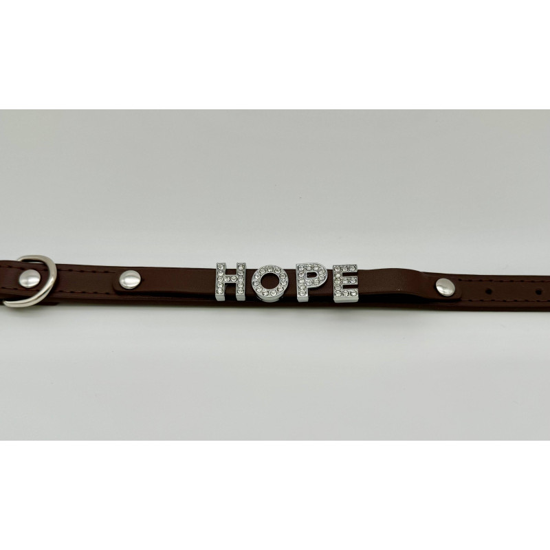 Exklusives Hundehalsband